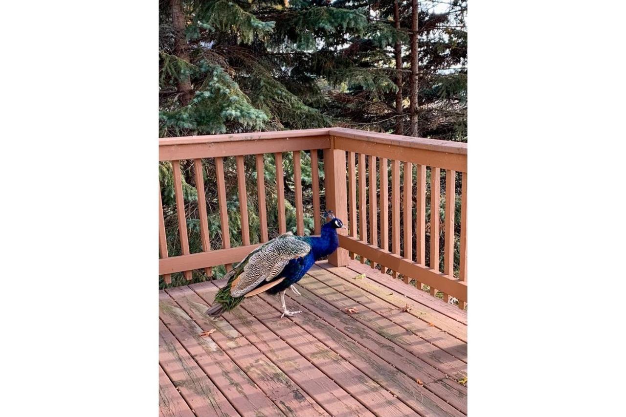 Lakeview & Wildlife Au Gres Экстерьер фото
